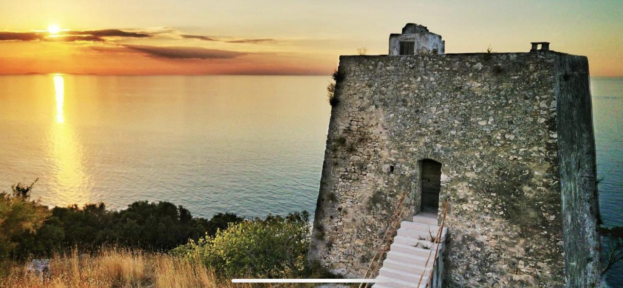 Villa Pineta San Menaio Exteriör bild